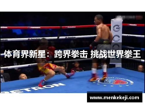 体育界新星：跨界拳击 挑战世界拳王